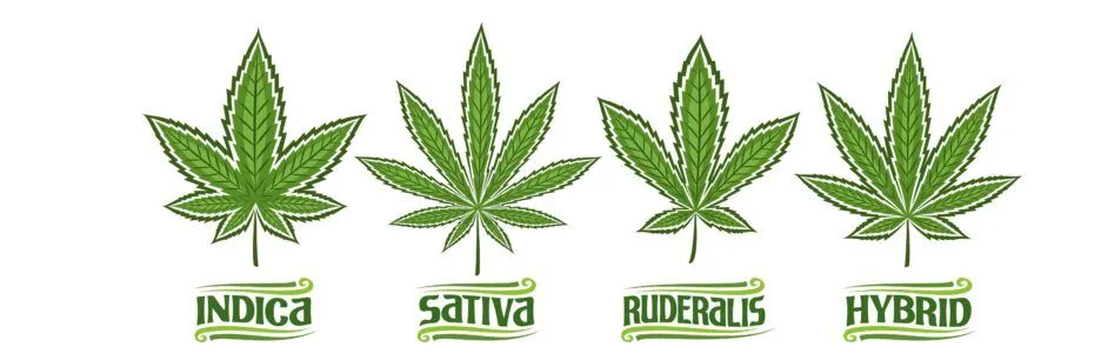 QQ20240705114652 QQ20240705114652